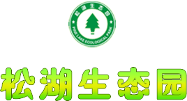 衡安軟件